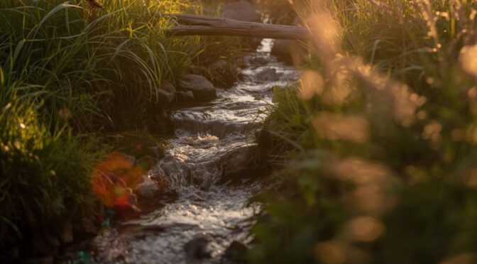 Allein im Geburtszimmer – über den Bach gestiegen: Die überraschende Reise zu unserem vierten Kind